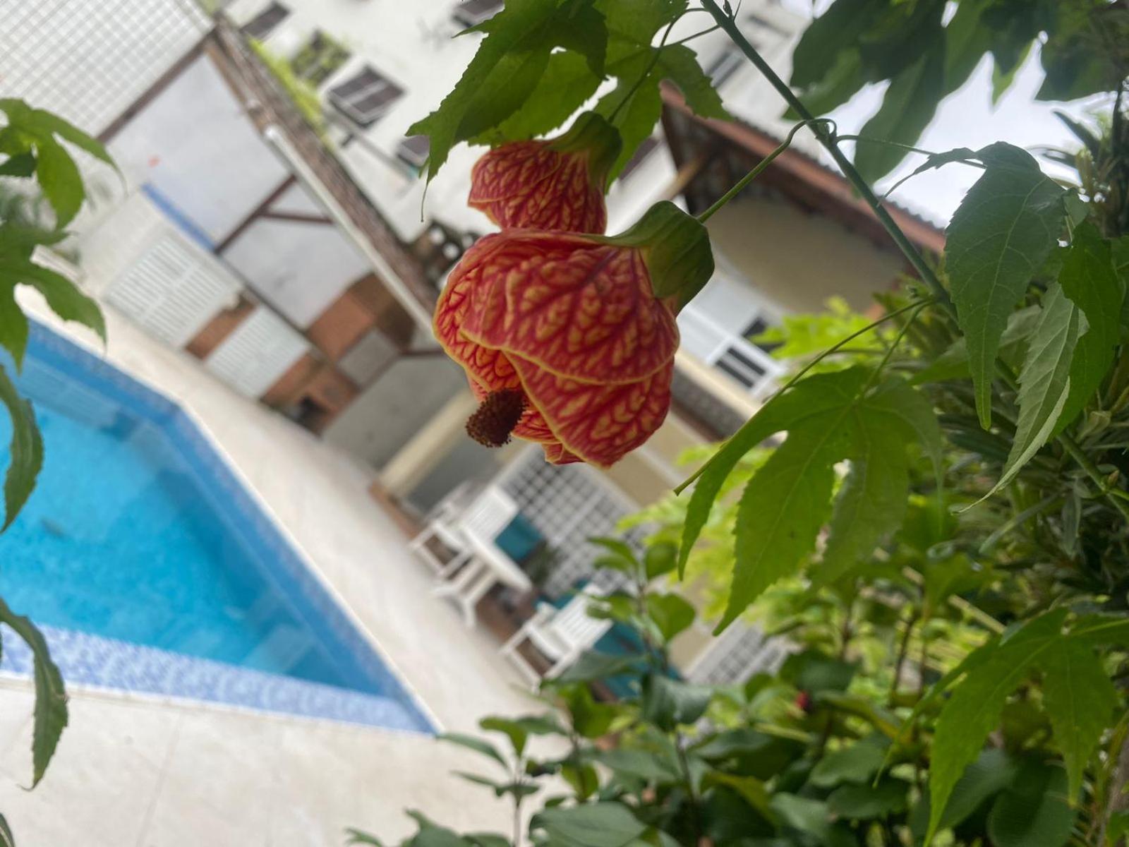 Pousada Do Tio Cido Guarujá Exteriér fotografie